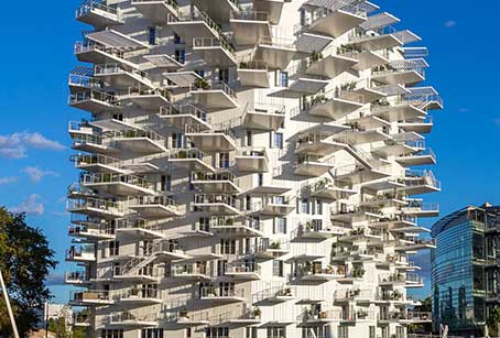 L'arbre blanc à Montpellier avec les Bois de Henry Timber L4arbre blanc à Montpellier avec les Bois de Henry Timber
