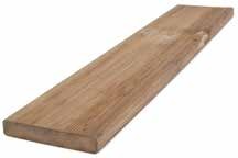 europe_pin_sylvestre_2_peigne_brun