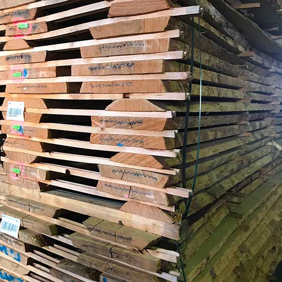 Frêne brut Frêne brut