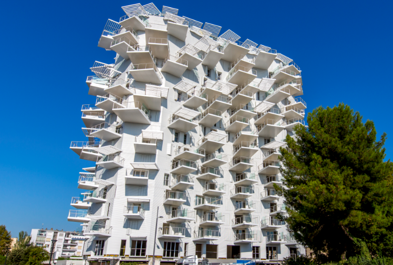 Arbre_blanc_Henry_Timber_Groupe_SAMSE