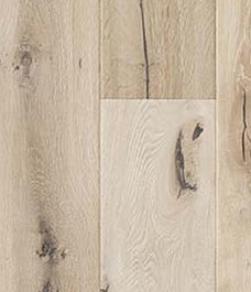 Raphaël rapahel-contrecolle