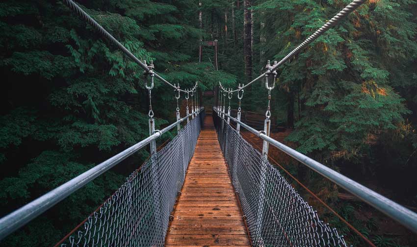 Pont en bois au dessus d'une forêt