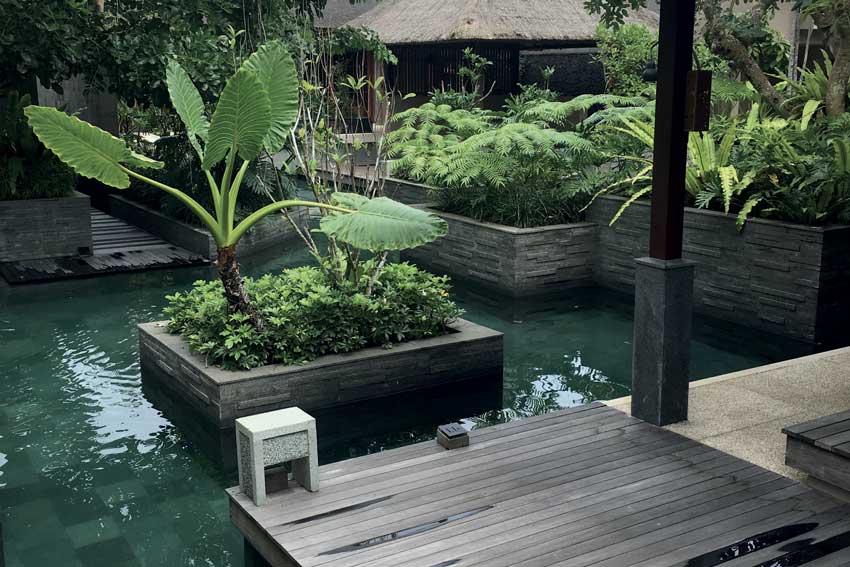 Bassin avec terrasse