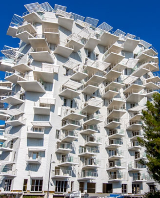 Henry-Timber-Arbre_blanc