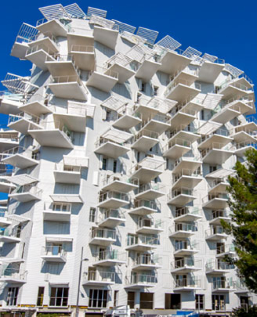 Henry-Timber-Arbre_blanc