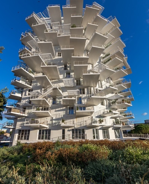 Bâtiment l'Arbre Blanc de Montpellier