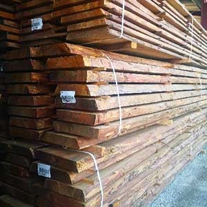 Plots Mélèze de Russie